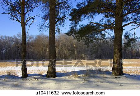 Stock Image - Snowy countryside. Fotosearch