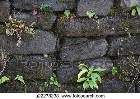 Stone wall View Large Photo Image Stock Photo - Stone wall. Fotosearch
