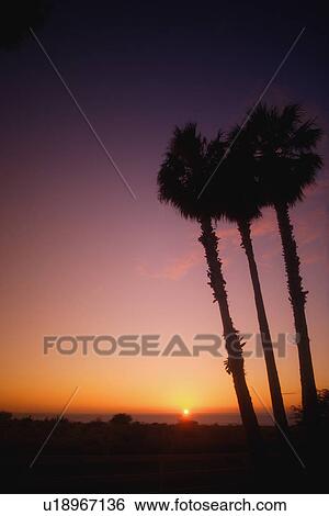 Tropical sunset View Large Photo Image Stock Photograph - Tropical sunset. Fotosearch