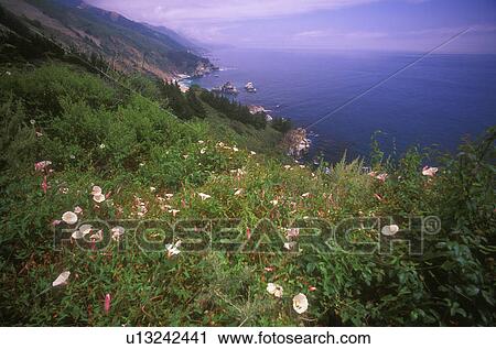 Stock Image - View of the coastline. Fotosearch