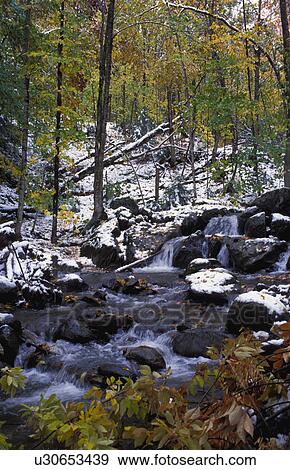 Water in forest View Large Photo Image Stock Photo - Water in forest. Fotosearch