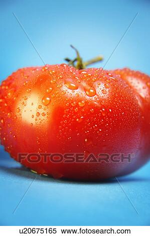 Stock Photography - Whole tomato. Fotosearch