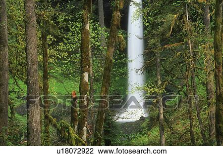 Stock Image - Woodland waterfall. Fotosearch