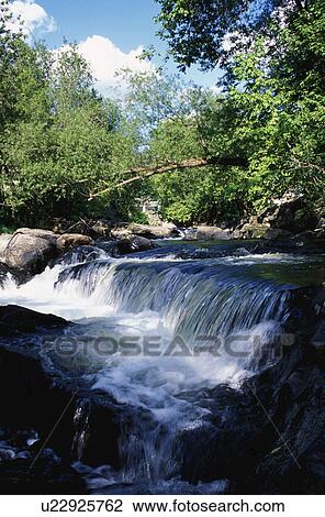 Stock Image - Woodland waterfall. Fotosearch