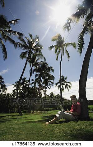 Working outside in a tropical setting View Large Photo Image Stock Photography - Working outside in a tropical setting. Fotosearch