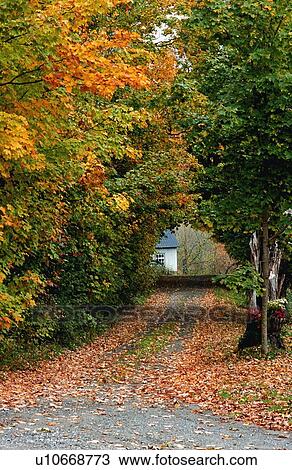 Stock Image - A beautiful autumn road. Fotosearch
