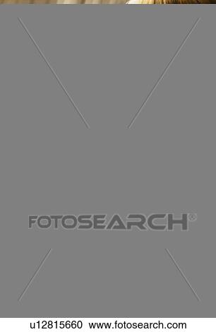 Stock Image - A beautiful woman. Fotosearch