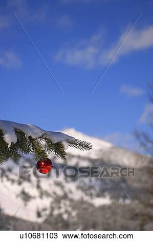 Stock Image - A Christmas decoration in the mountains. Fotosearch