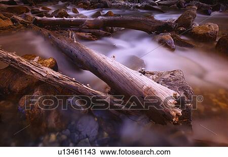 A close-up (close up closeup) of a rushing stream with driftwood View Large Photo Image Stock Image - A close-up (close up closeup) of a rushing stream with driftwood. Fotosearch