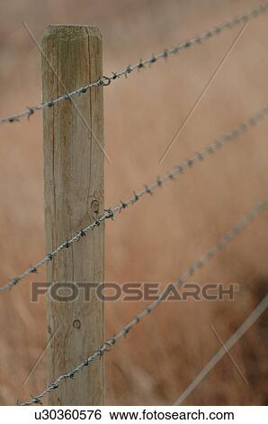 A close-up of a barbed wire fence View Large Photo Image Stock Photograph - A close-up of a barbed wire fence. Fotosearch