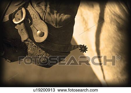 Stock Image - A close-up of a cowboy boot heel and spur. Fotosearch
