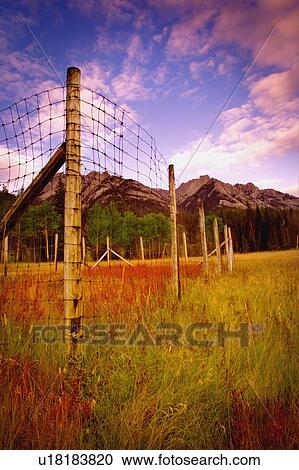 A fence in the mountains View Large Photo Image Stock Image - A fence in the mountains. Fotosearch