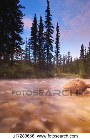 A flowing stream View Large Photo Image Stock Photograph - A flowing stream. Fotosearch