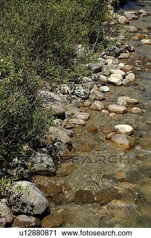 Stock Image - A gentle stream. Fotosearch