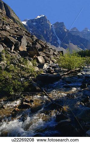Stock Photo - A mountain stream. Fotosearch