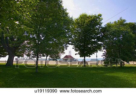 A view of the sea through the trees View Large Photo Image Stock Image - A view of the sea through the trees. Fotosearch