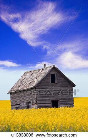 An abandoned farm building View Large Photo Image Stock Photograph - An abandoned farm building. Fotosearch