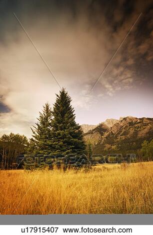 An open field View Large Photo Image Stock Photo - An open field. Fotosearch