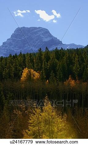Stock Photo - Autumn valley. Fotosearch