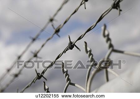 Barbed wire and link fencing View Large Photo Image Stock Photography - Barbed wire and link fencing. Fotosearch