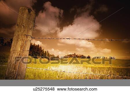 Barbed wire fence and fields View Large Photo Image Stock Photo - Barbed wire fence and fields. Fotosearch