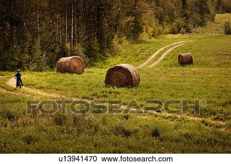 Child rides bike on rural road View Large Photo Image Stock Image - Child rides bike on rural road. Fotosearch