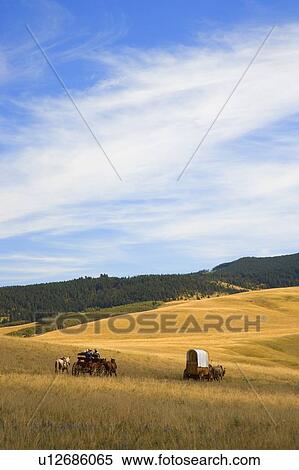 Chuck wagons crossing the Prairies View Large Photo Image Stock Photography - Chuck wagons crossing the Prairies. Fotosearch