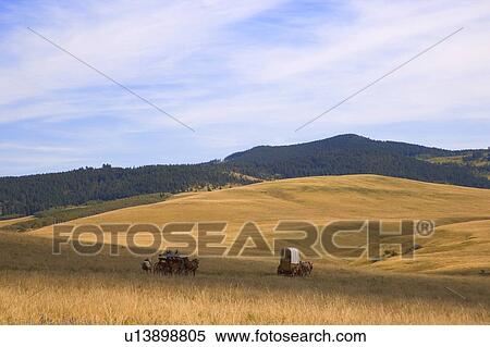 Chuck wagons crossing the Prairies View Large Photo Image Stock Photography - Chuck wagons crossing the Prairies. Fotosearch