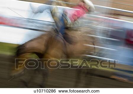 Cowboy on a horse View Large Photo Image Stock Photograph - Cowboy on a horse. Fotosearch