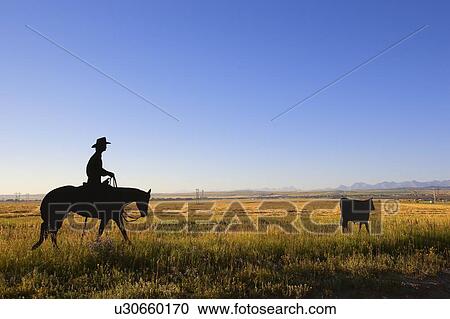 Cowboy rounding up a cow View Large Photo Image Stock Image - Cowboy rounding up a cow. Fotosearch