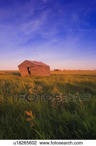 Stock Image - Dilapidated shack in a field. Fotosearch