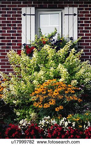 Flowering plants against a window set in a brick wall View Large Photo Image Stock Image - Flowering plants against a window set in a brick wall. Fotosearch