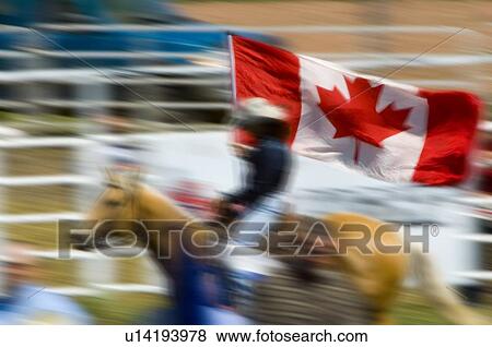 Horse & rider with Canadian flag View Large Photo Image Stock Photo - Horse & rider with Canadian flag. Fotosearch
