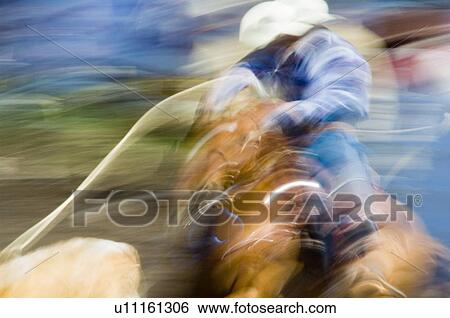 Impression of a rodeo rider View Large Photo Image Stock Photograph - Impression of a rodeo rider. Fotosearch