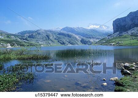 Stock Photo - Lago de la Ercina Picos de Europa Northern Spain. Fotosearch