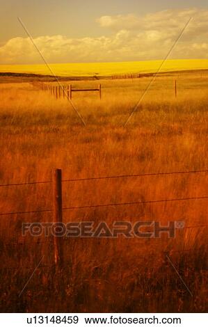 Stock Photo - Large open fields and barbed wire. Fotosearch