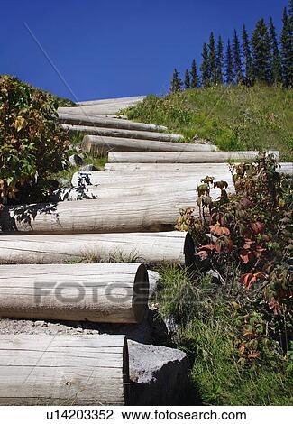Stock Image - Logs laying on a hill. Fotosearch