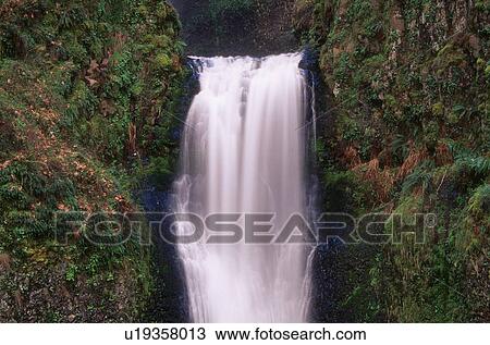 Stock Image - Multnomah Falls, Columbia River Gorge, Oregon, U. S. A.. Fotosearch