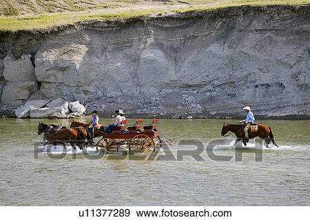 Pulling a buggy through the water View Large Photo Image Stock Photo - Pulling a buggy through the water. Fotosearch