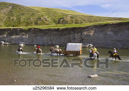 Pulling a carriage through the water View Large Photo Image Picture - Pulling a carriage through the water. Fotosearch