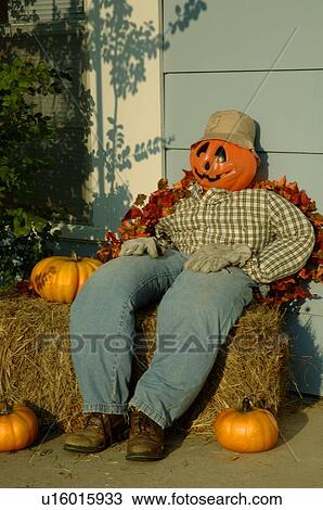 Pumpkin scarecrow View Large Photo Image Stock Image - Pumpkin scarecrow. Fotosearch
