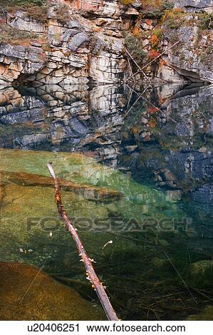 Stock Image - Reflections at Horseshoe Lake Jasper National Park. Fotosearch