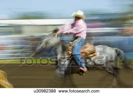 Roping a steer View Large Photo Image Stock Photo - Roping a steer. Fotosearch