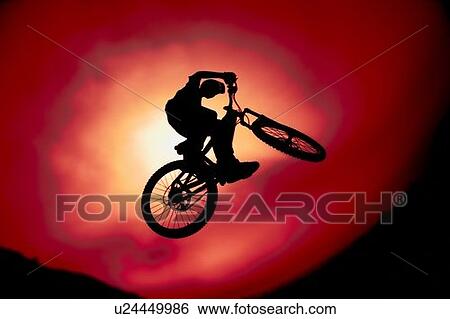 Silhouette of trick bike rider View Large Photo Image Stock Photograph - Silhouette of trick bike rider. Fotosearch