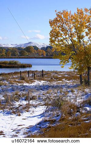 Snow field in fall View Large Photo Image Picture - Snow field in fall. Fotosearch