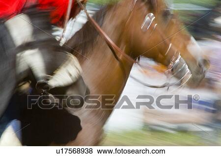 Speed on horseback View Large Photo Image Stock Photo - Speed on horseback. Fotosearch