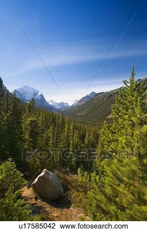 Tonquin Valley Jasper national Park View Large Photo Image Stock Image - Tonquin Valley Jasper national Park. Fotosearch