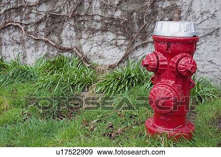 Stock Photo - A bright red fire hydrant against a stone wall. Fotosearch