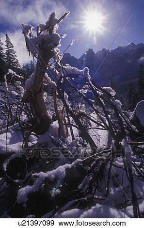 Stock Photo - A sunny day in the mountains. Fotosearch