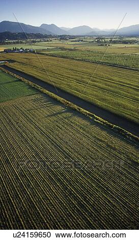 Stock Image - Aerial shot of British Columbia agriculture. Fotosearch